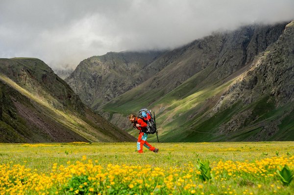 Quels sont les meilleurs spots pour observer les tortues marines aux Seychelles?