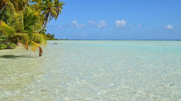 Où pratiquer le snorkeling au milieu des raies manta à Hawaii ?