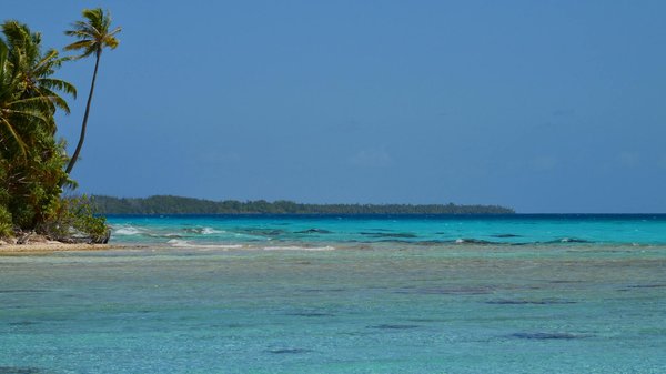 Où participer à une récolte de thé dans les plantations de Nuwara Eliya, Sri Lanka?
